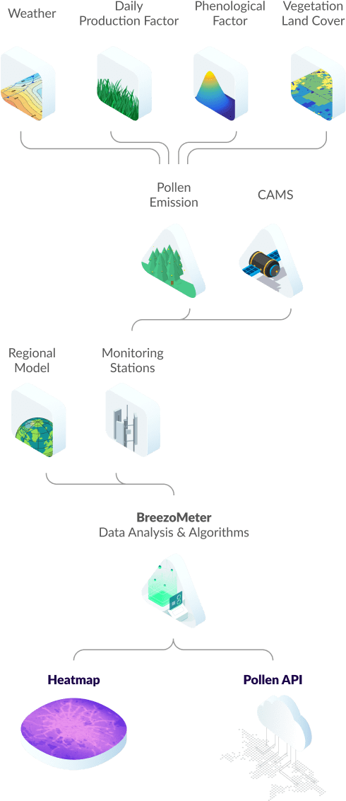 Breezometer Organizes Different Data Sources To Solve - Diagram (490x1141), Png Download