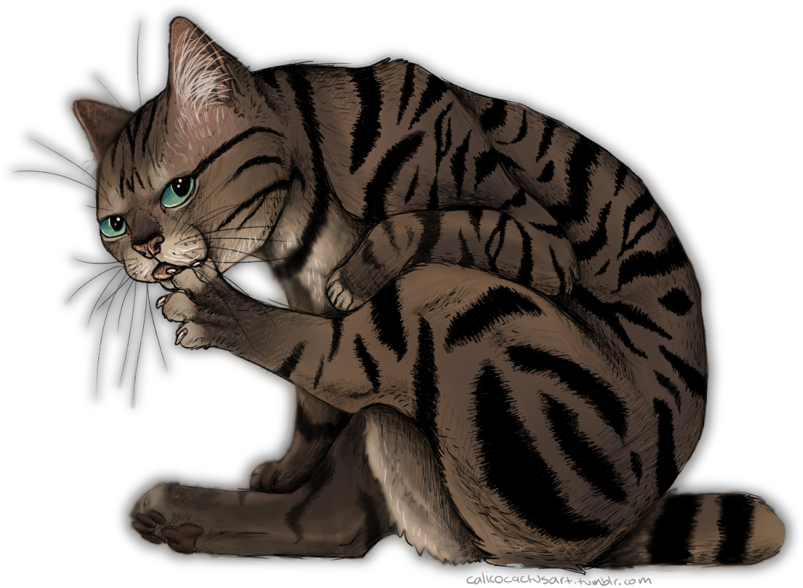 Bath Time - Cat Grabs Treat (1280x1022), Png Download