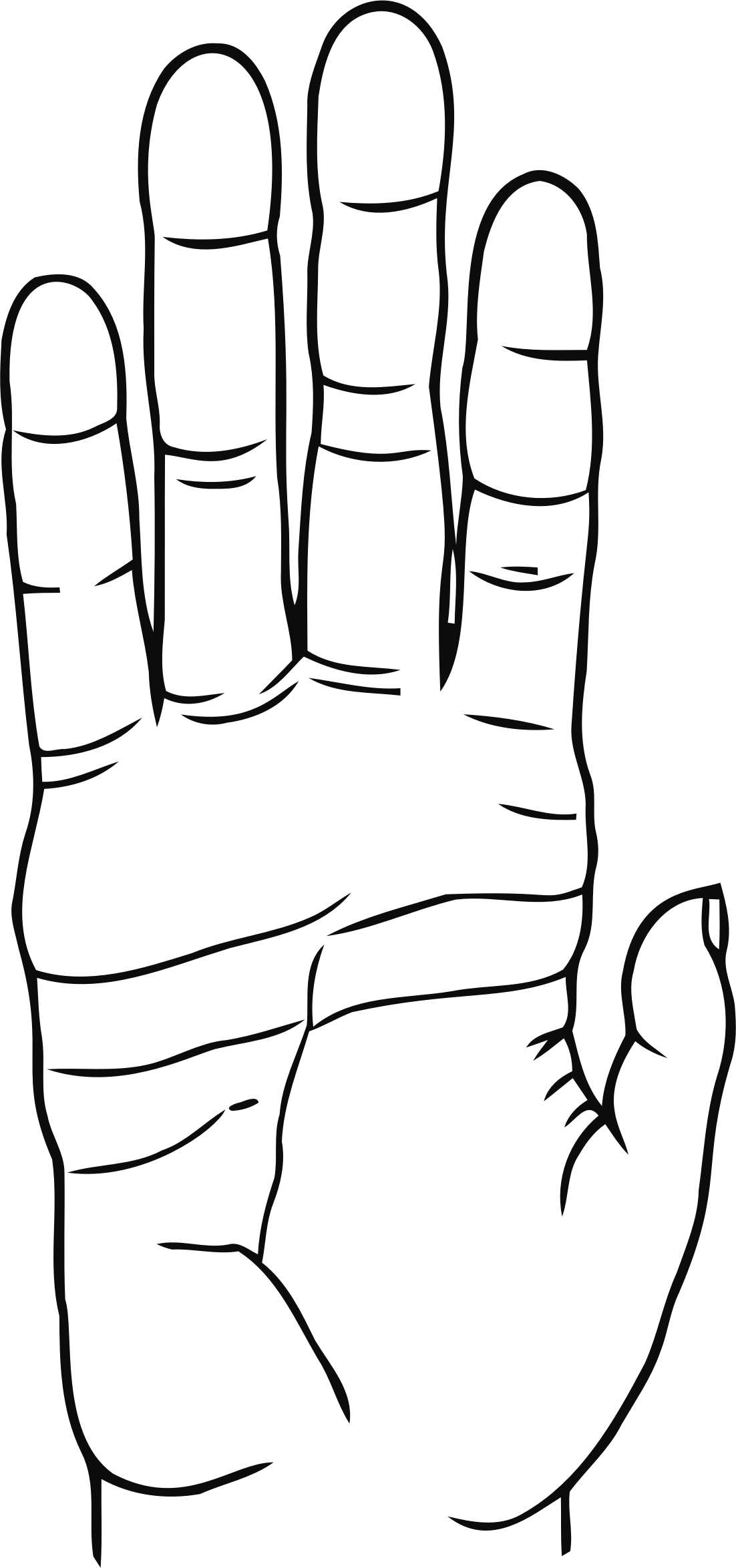 Big Image - Drawing (1102x2349), Png Download