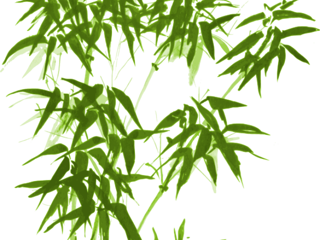 Drawn Bamboo Green Bamboo - Chinese Bamboo Ink Painting (640x480), Png Download
