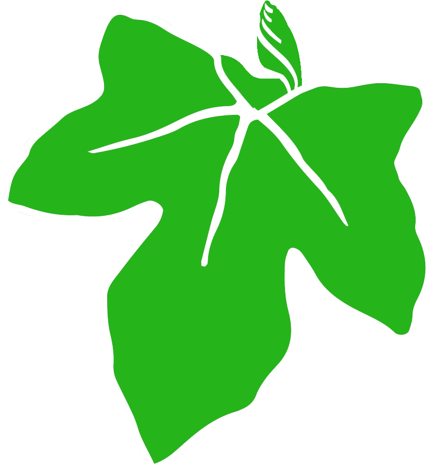 Old Ivy Brewery (966x966), Png Download