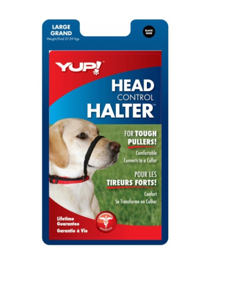 708-34571 - Labrador Retriever (600x600), Png Download