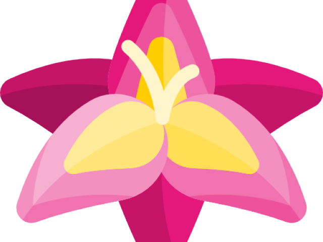Gladiolus Clipart Pink Yellow (640x480), Png Download