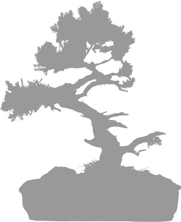 Awaiting Product Image - Sageretia Theezans (587x733), Png Download