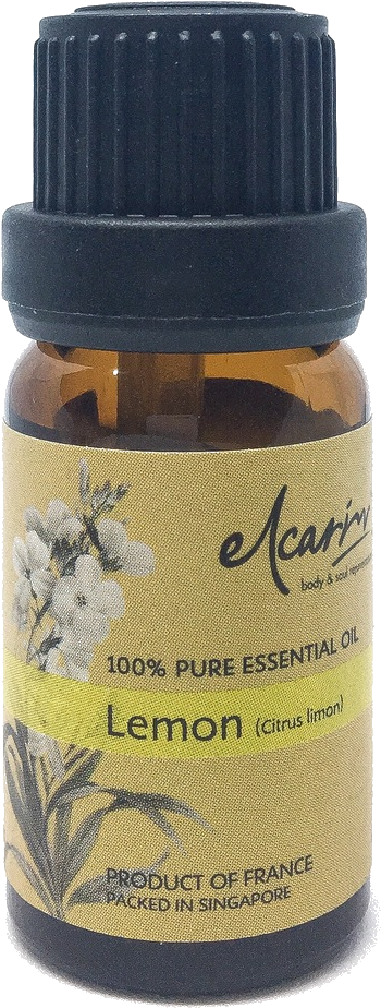 Product - Rapeseed (1130x1131), Png Download