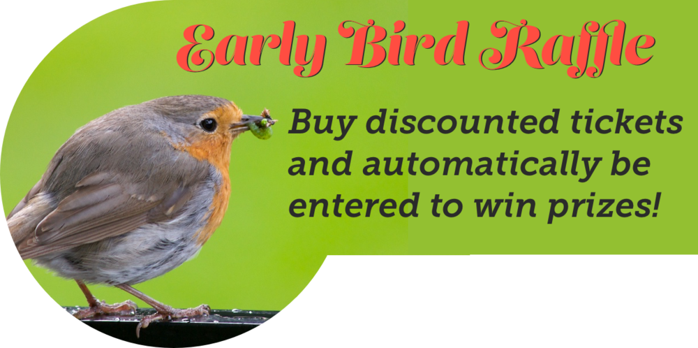 Early Bird, Adh Image For Blog - European Robin (1000x498), Png Download