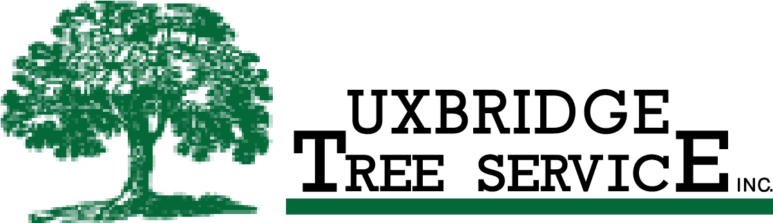 Shrubbery York & Durham Region - Oak Tree (1157x346), Png Download