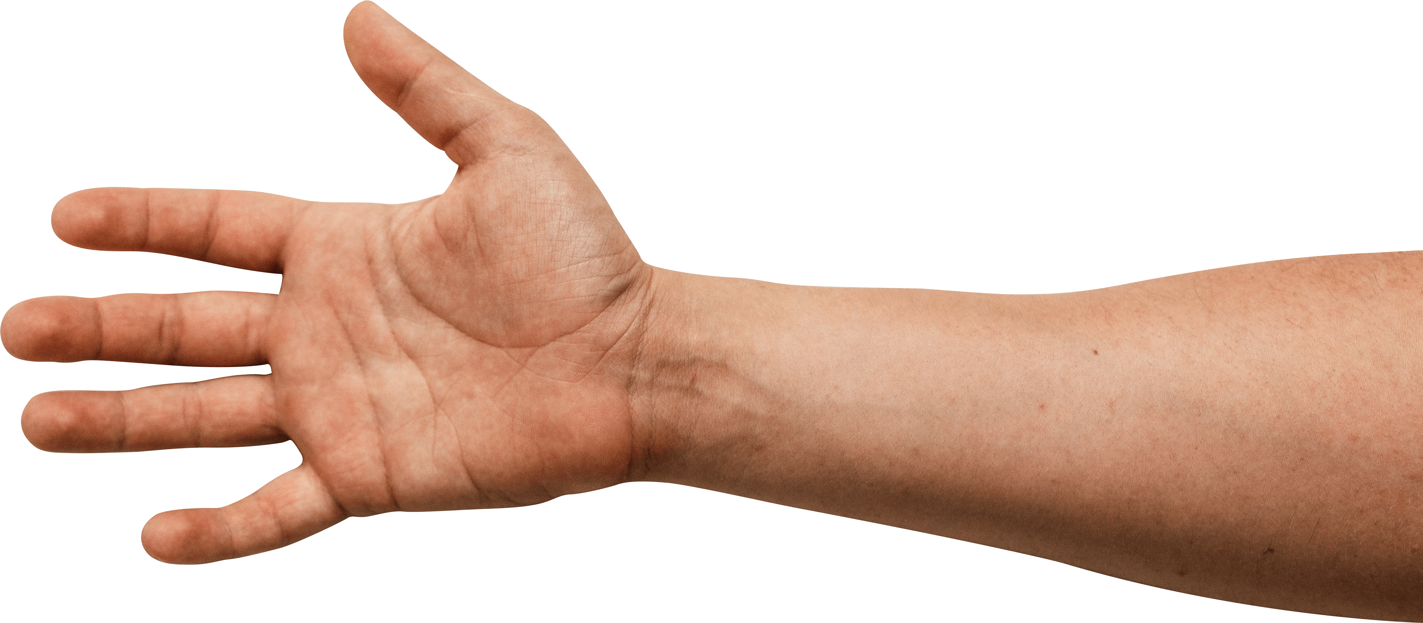 Download - Sign Language (4917x2153), Png Download