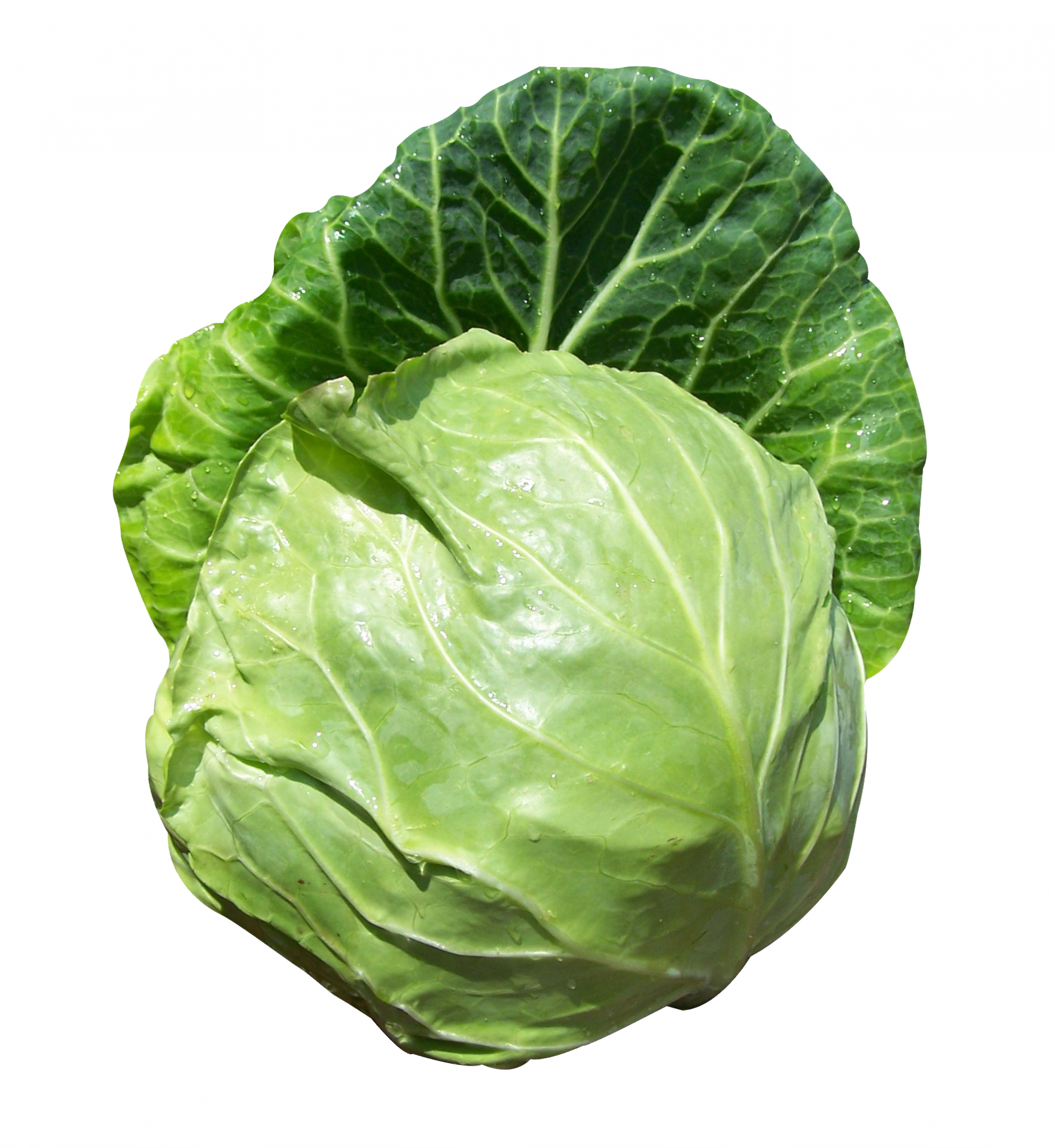 8 Kg Cardboard Box, - Collard Greens (1764x1920), Png Download