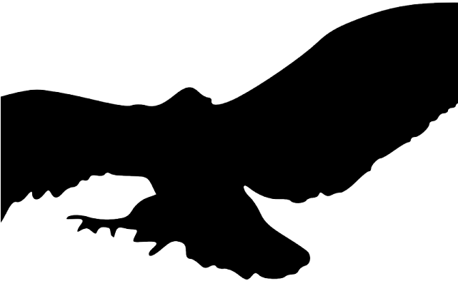 Vulture Clipart Flying - Silhouette Of Owls Flying (640x480), Png Download