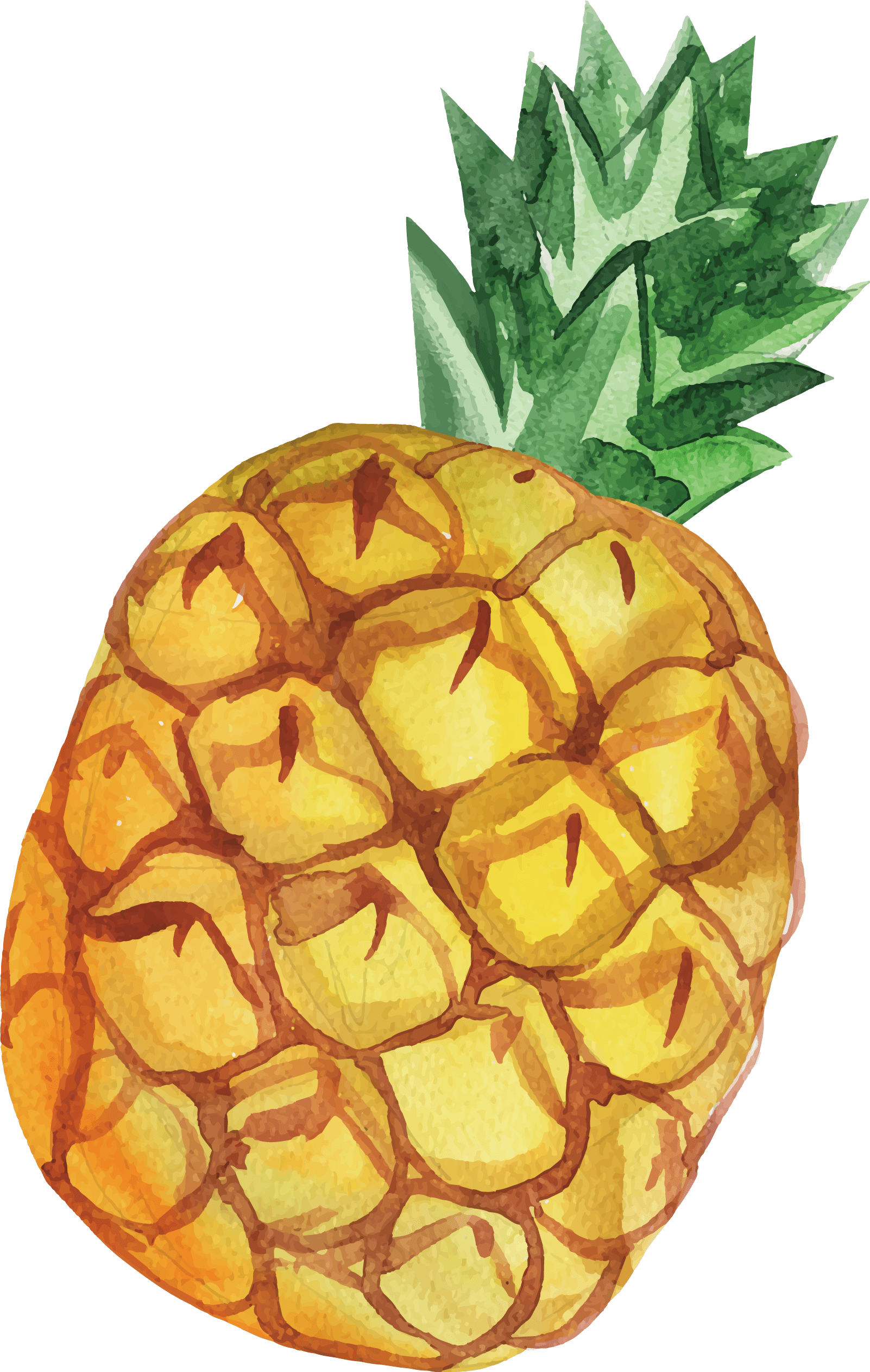 Pineapple (1602x2524), Png Download