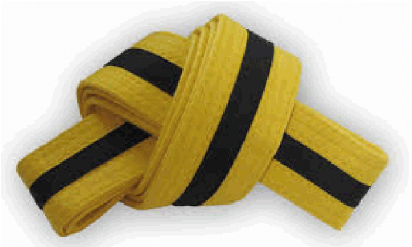 Yellow Belt With Black Stripe (600x600), Png Download