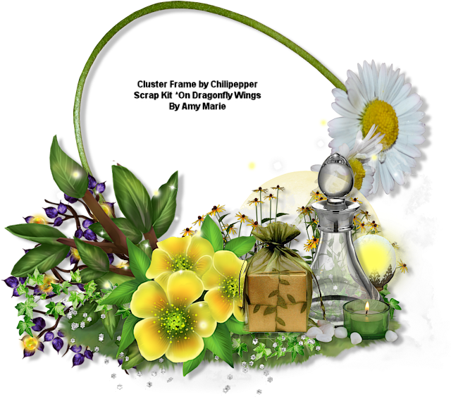 Ftu 2nd Ct Cluster And Tag *on Dragonfly Wings* - Illustration (700x700), Png Download