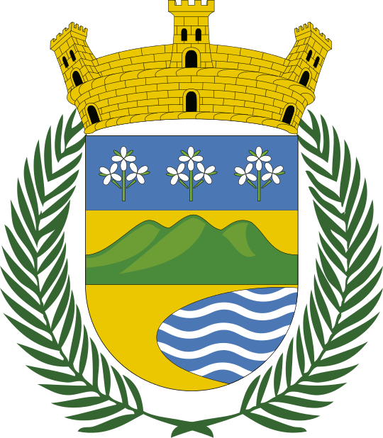 Flag, Coat Of Arms Of Luquillo, Puerto Rico - Ajuntament De La Llagosta (540x618), Png Download