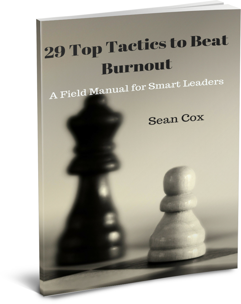 29 - Chess (795x1003), Png Download