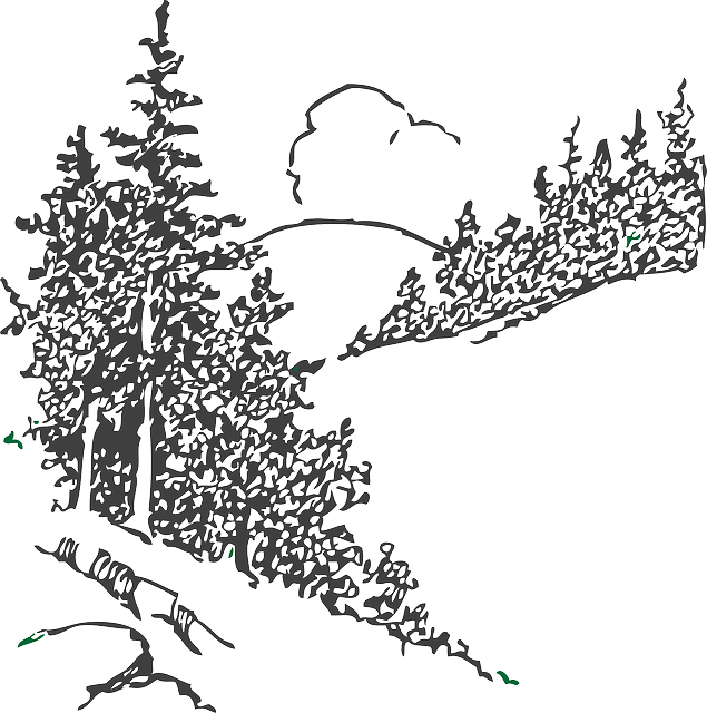 Pine Tree Clipart Scenery - Black And White Pine Trees Clipart (635x640), Png Download