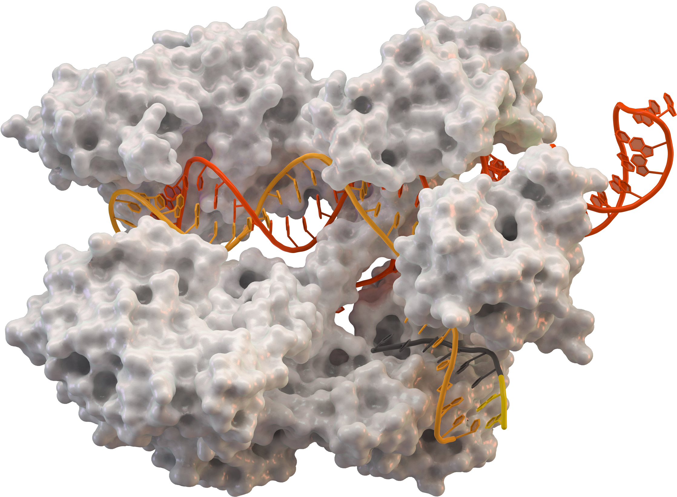 Cas9 5axw Plain - Crispr (2245x1651), Png Download