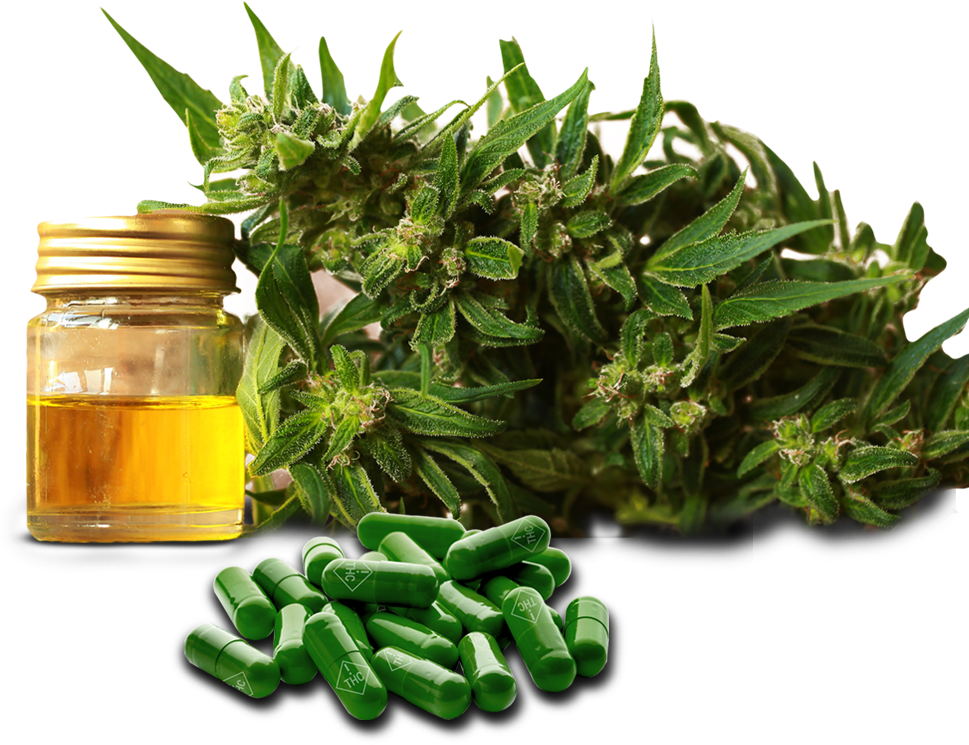 Cannabis, Male Enhancement Equals Business - Cannamojo (968x762), Png Download