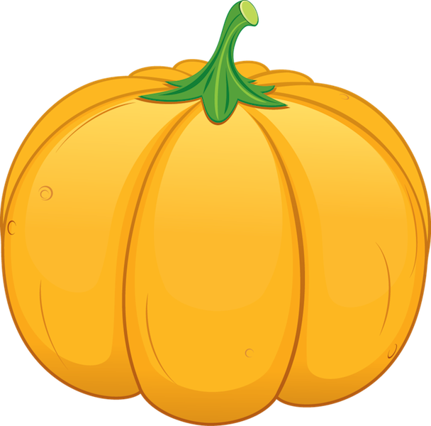 Pumpkin - Pumpkin - Pumpkin (608x600), Png Download