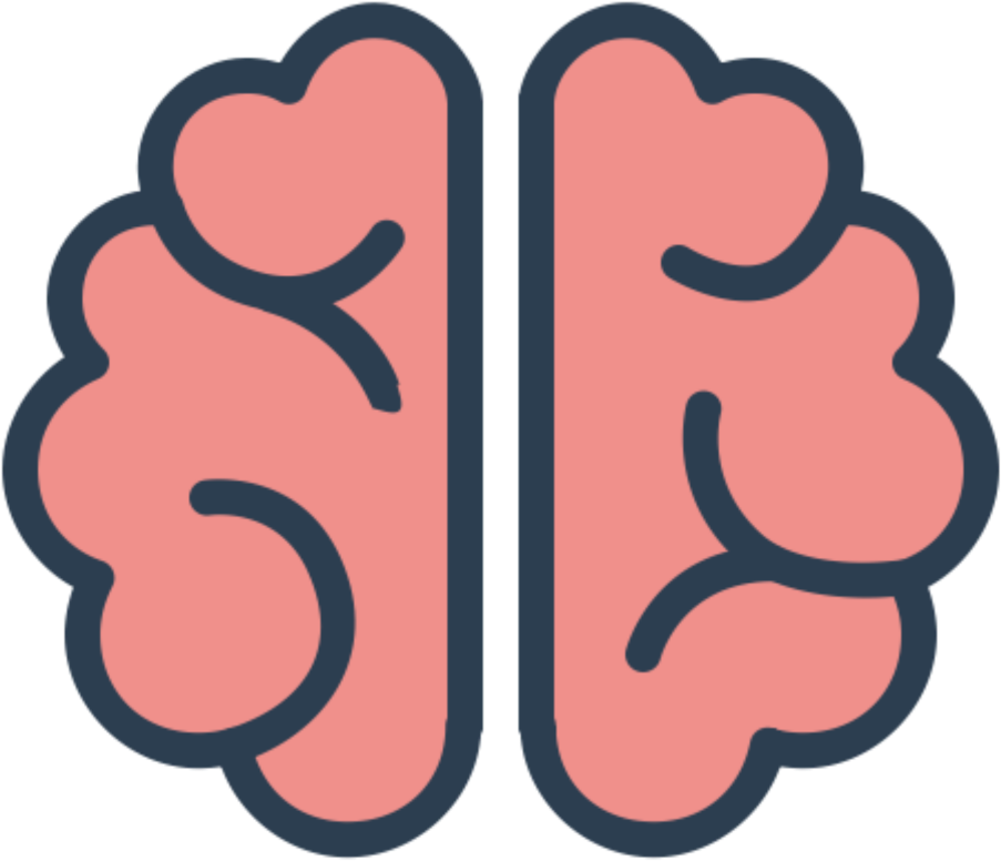 Brain Cerebro Animado Psicologia Neuropsicologia Neuro - Brain Flat Design Png (1024x1023), Png Download