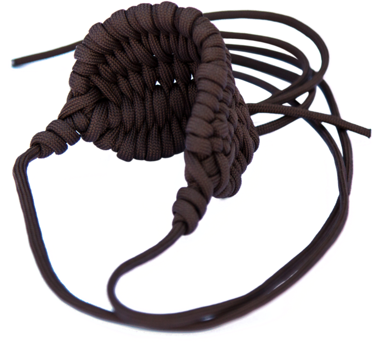 Sling-1 V=1487953165 - Insect (1024x1024), Png Download