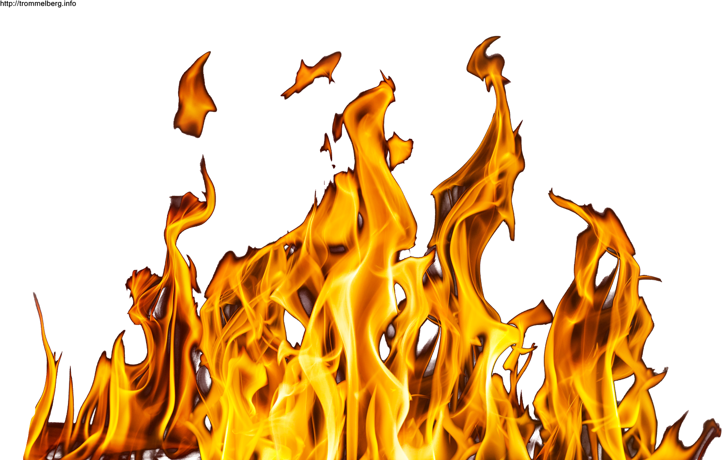 Fire Png Image Pngpix Realistic Christmas Tree - Cash Me Ousside Memes (1550x950), Png Download