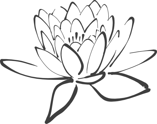 Lotus Flower Outline - Black And White Lotus Clipart (600x472), Png Download