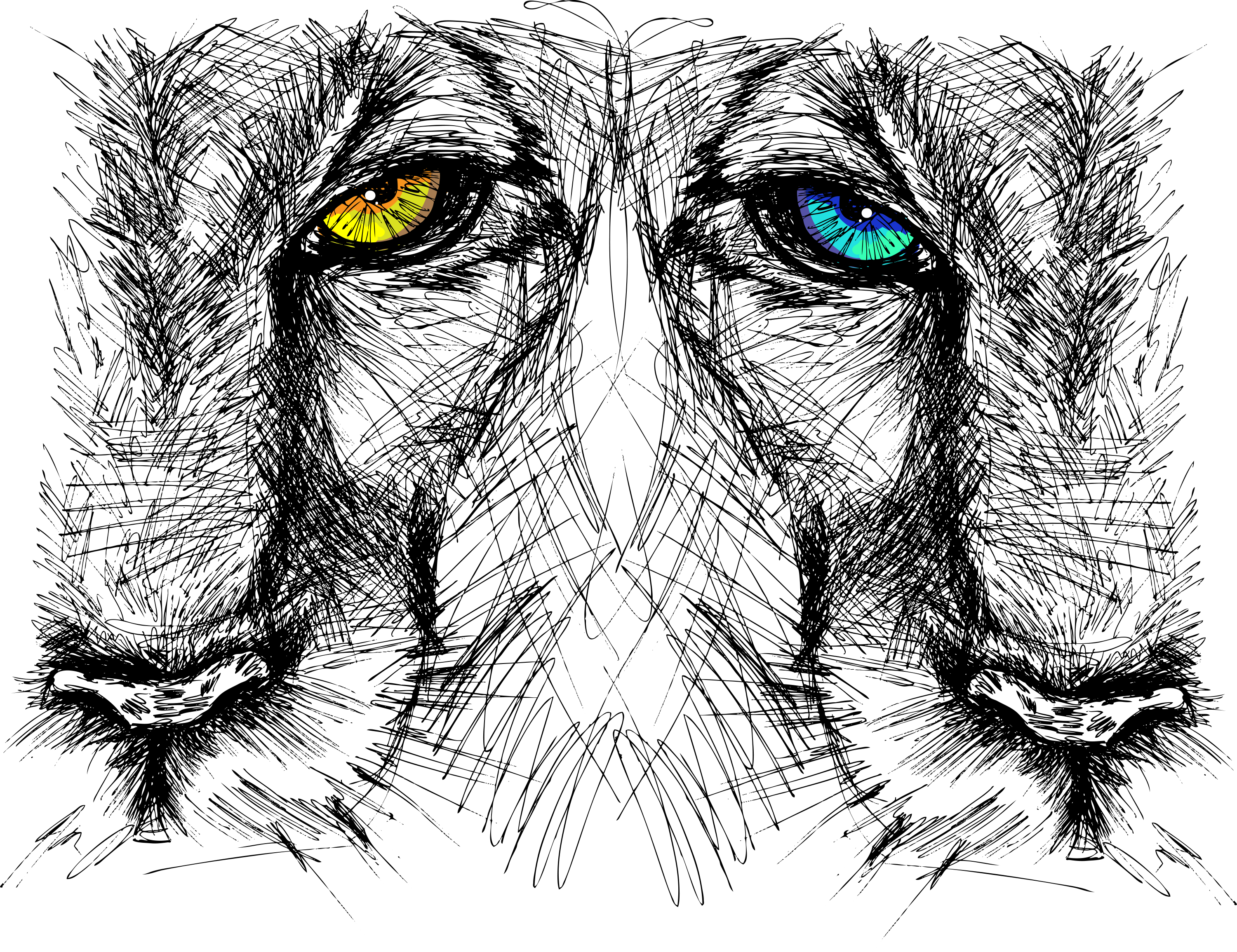 Drawn Lion Nature - Lion Eyes Sketch (3000x2310), Png Download