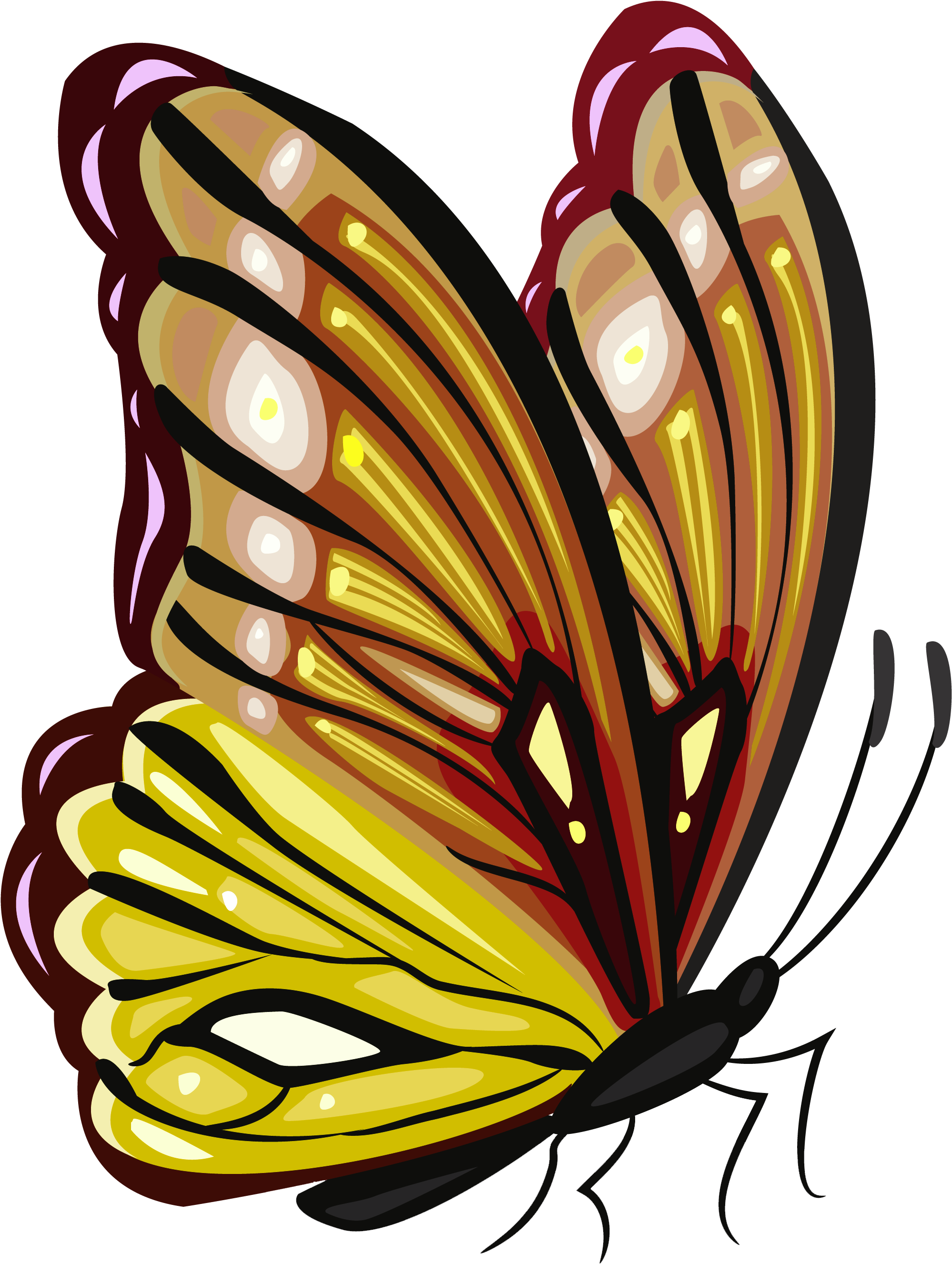 Monarch Butterfly Green Yellow - Brown Butterfly Png (2796x3251), Png Download