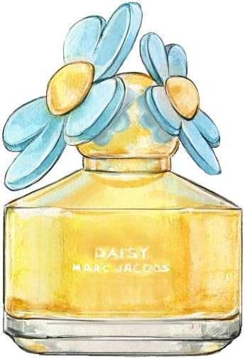 Perfume Chanel Watercolor Painting Drawing Illustration - Drawing (838x571), Png Download