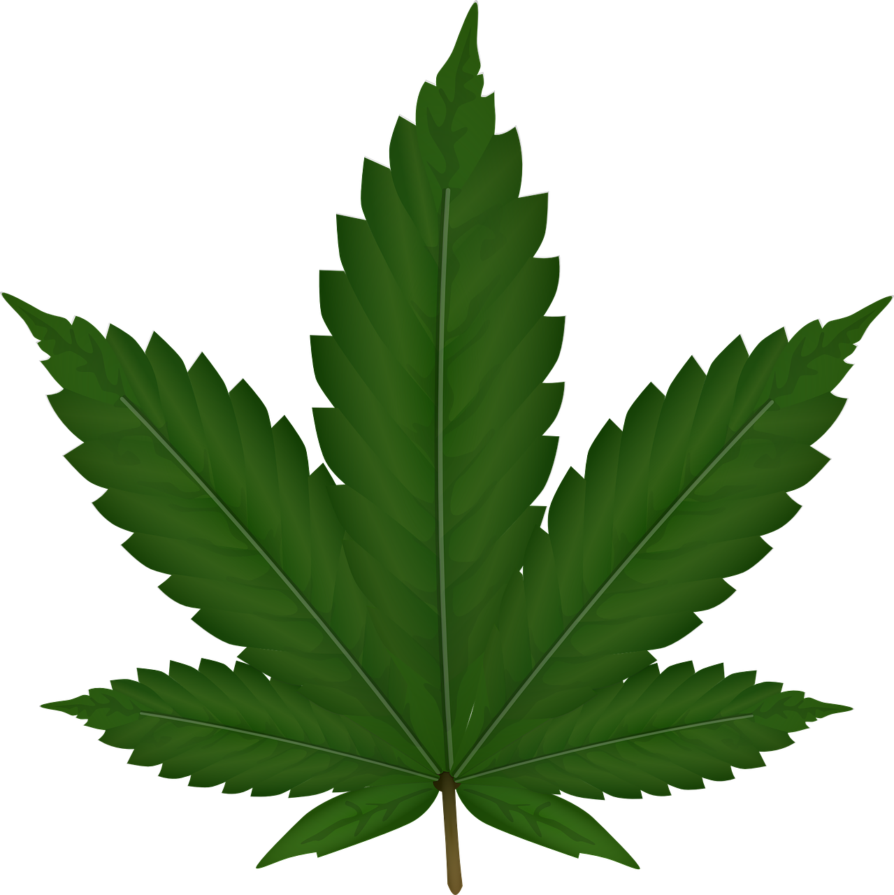 Cannabis Png (1279x1280), Png Download