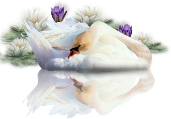 Download Hd Joyeux Anniversaire Marie Jeanne Transparent Png Image Nicepng Com