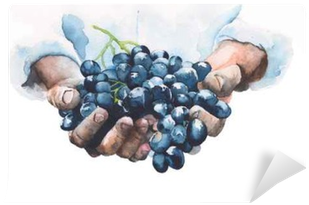 Grapes In Hands Watercolor Painting Illustration Isolated - There Is No Wine If Grapes Are Not Pressed (400x400), Png Download