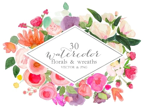 Watercolor Vector Png Image With Transparent Background - Garden Roses (580x386), Png Download