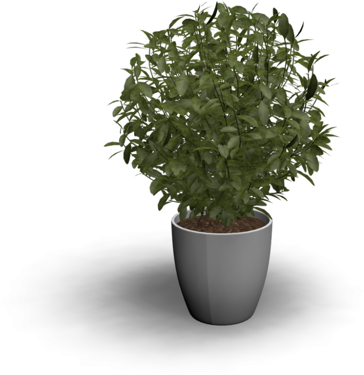 Beautiful Indoor Plant With Png Indoor Plants - Indoor Plant 3d Png (1000x1000), Png Download