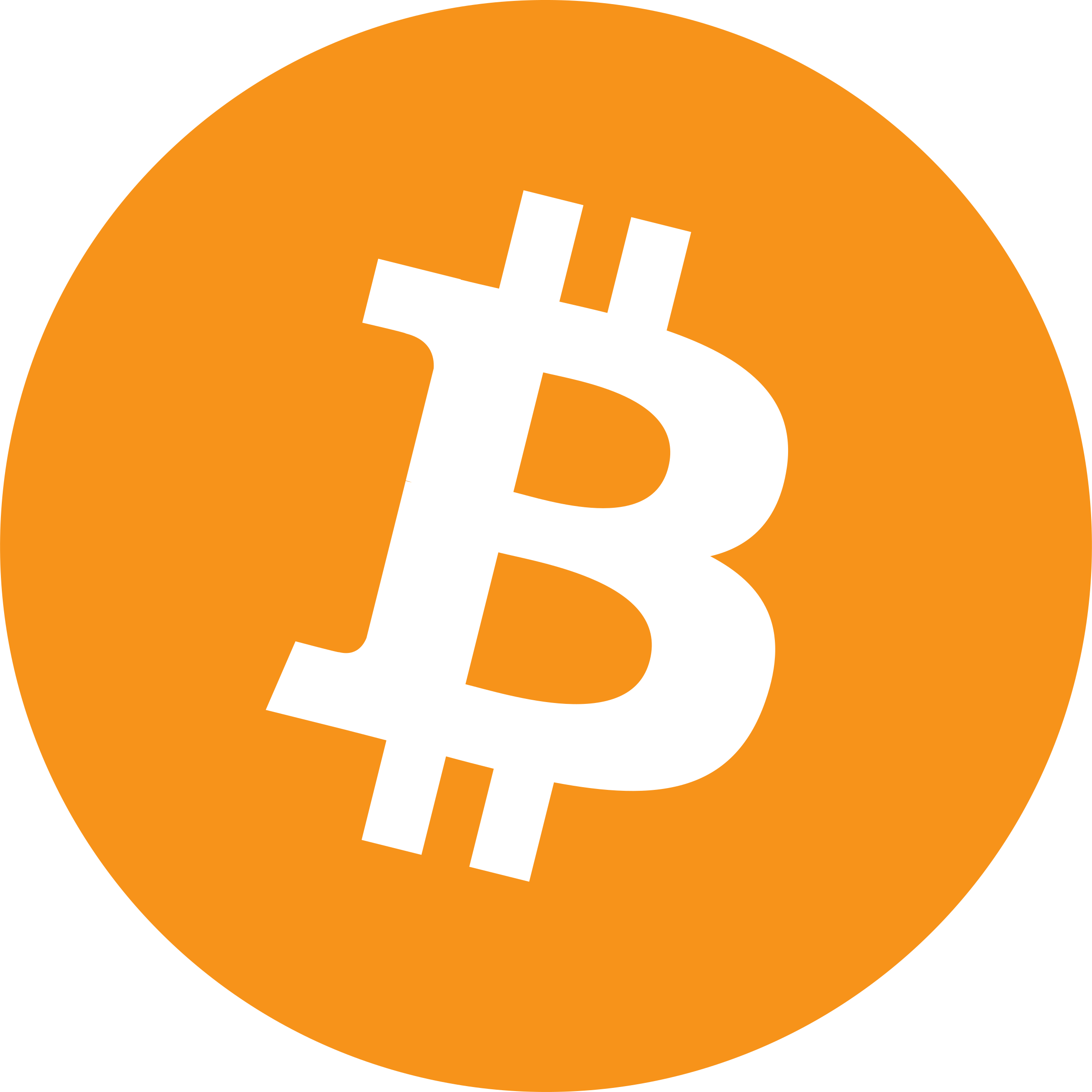 Download HD This Vote Of Confidence From A Man Many Consider To - Bitcoin  Logo Transparent PNG Image - NicePNG.com