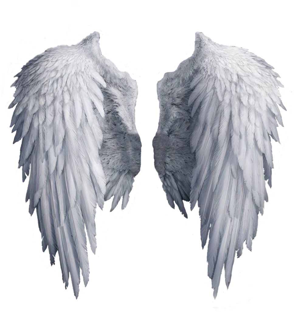 White Angel Wings Png - Angel Wings Png (1024x1192), Png Download