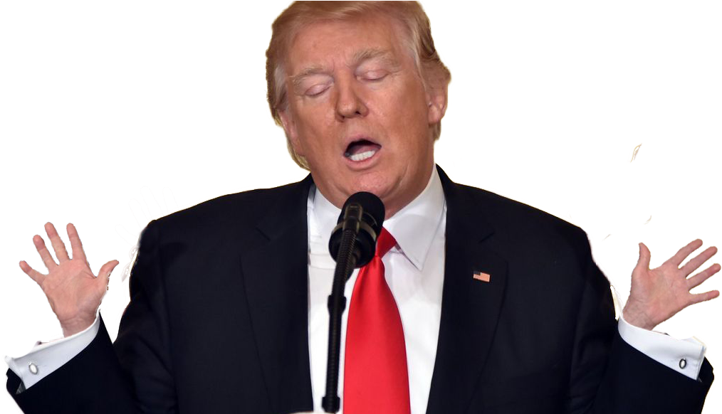Donald Trump Png - Donald Trump (1200x581), Png Download