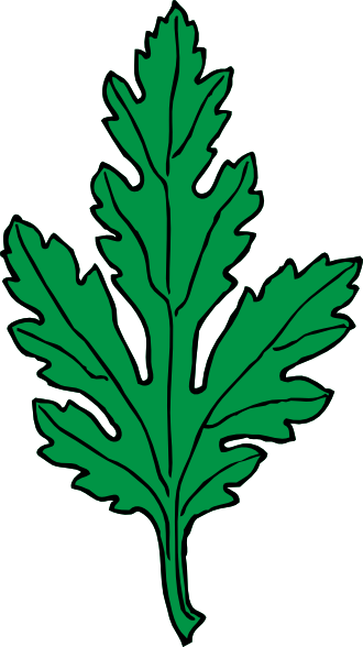 Watercolor Chrysanthemum, Cartoon, Hand Painted, Watercolor - Chrysanthemum Leaf (330x588), Png Download