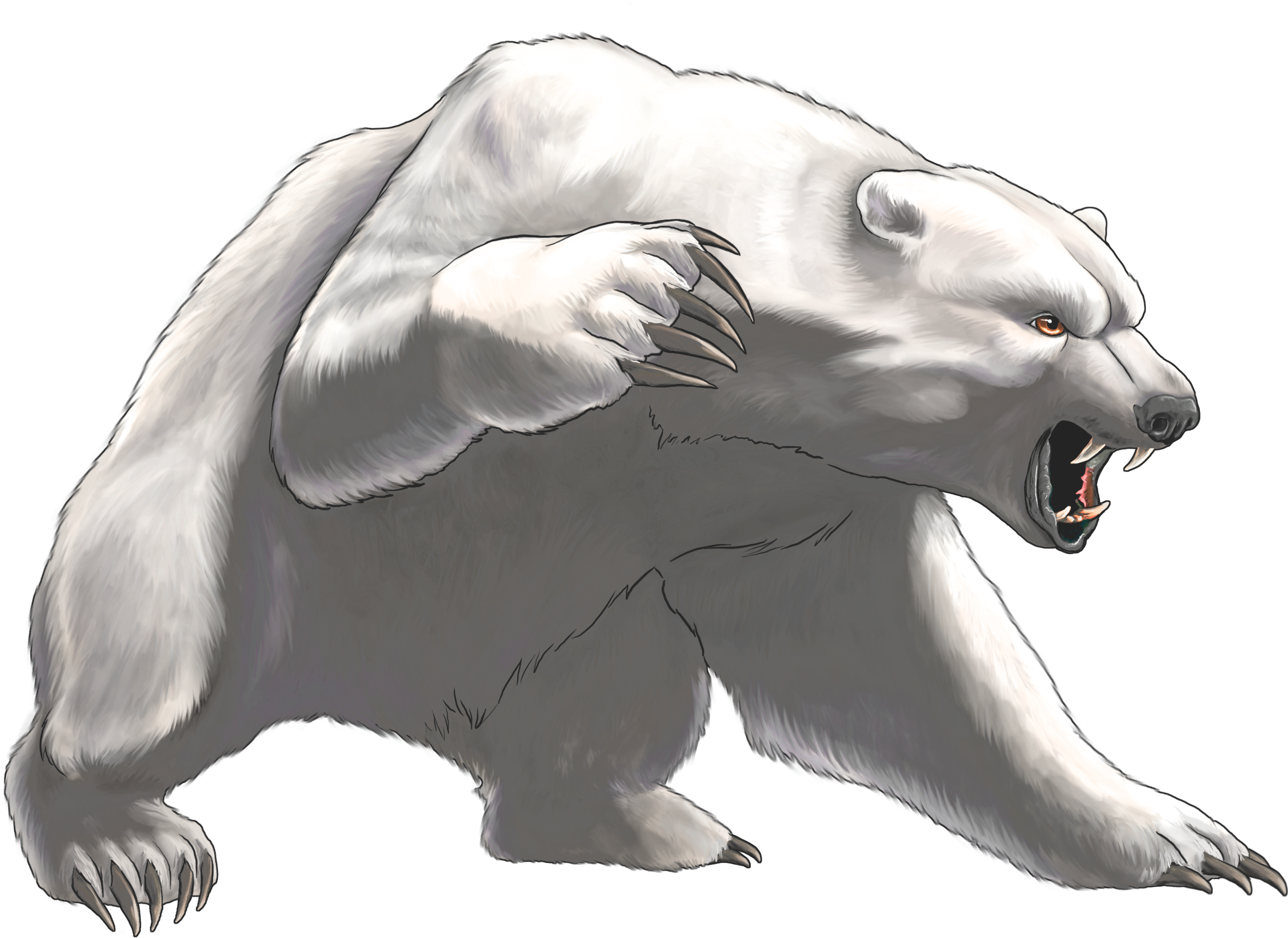 Angry White Bear Png Clipart - Angry Polar Bear Png (2724x2033), Png Download