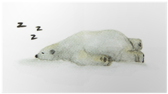 Hand Painted Watercolor Polar Bear - Design (400x400), Png Download