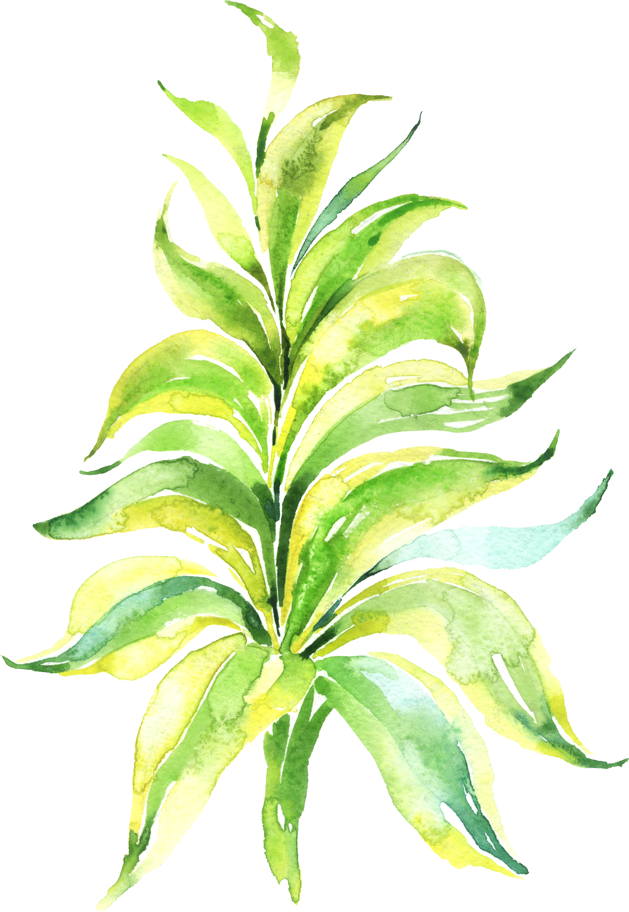 Watercolour - Clip Art (2121x3078), Png Download