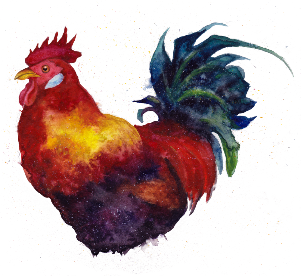 Chickenfur (1000x917), Png Download