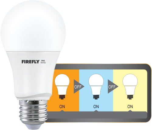 Clip Art Freeuse Home Firefly Electric Lighting Corporation - Compact Fluorescent Lamp (500x430), Png Download