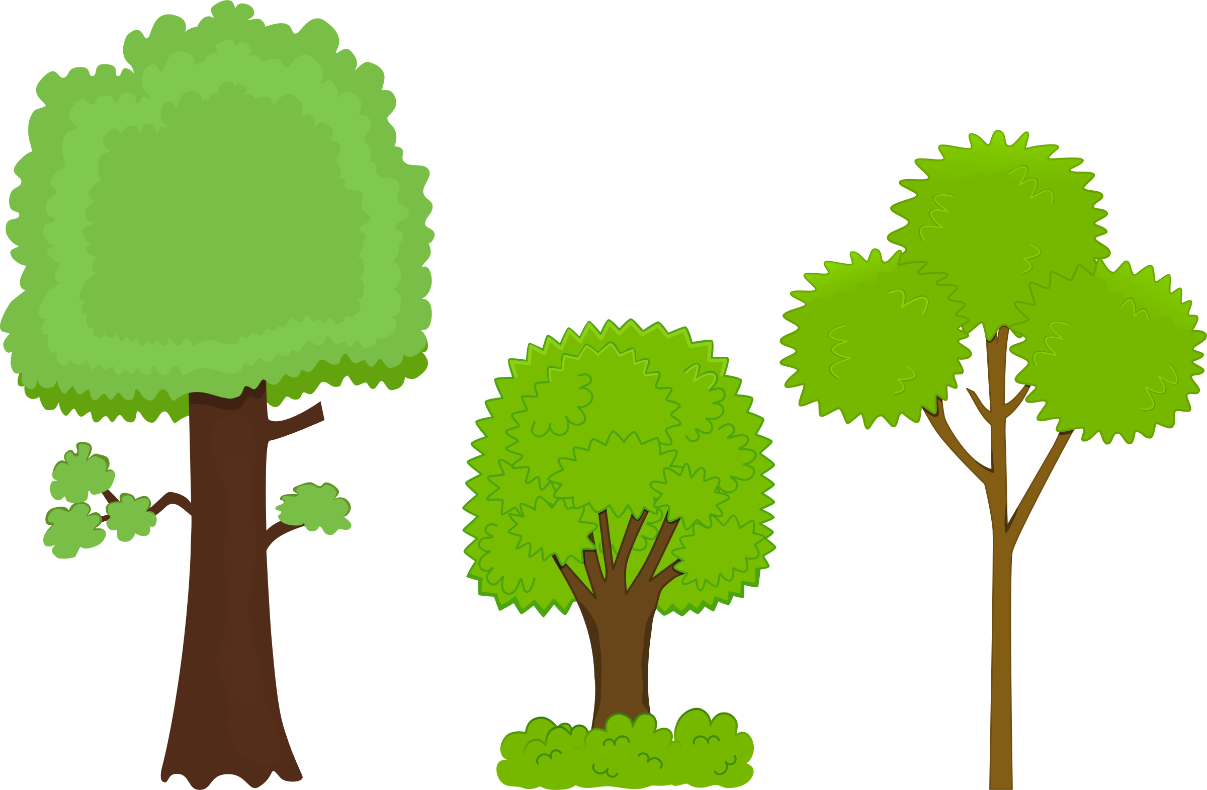 Impressive Clipart Pictures Of Trees Watercolor Tree - Three Trees Clipart (2400x1570), Png Download