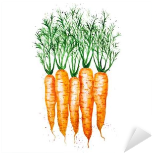 Vector Watercolor Carrots, Isolated On White Background - Carrots Watercolor (400x400), Png Download