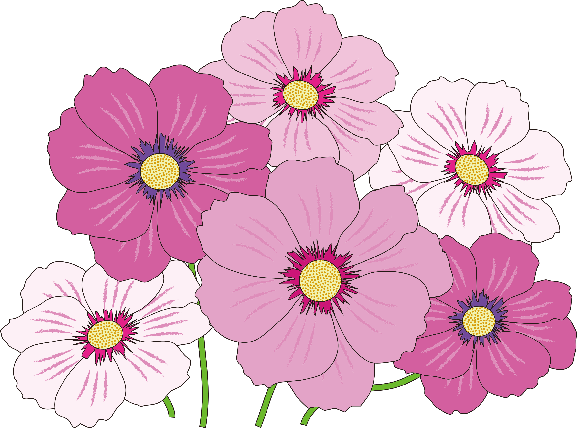 This Free Icons Png Design Of Pink And White Flowers (2362x1752), Png Download