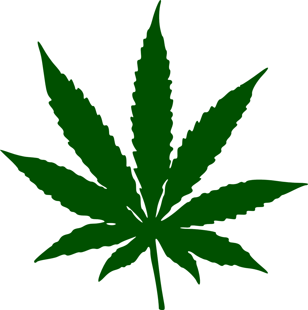 Art Drawings Clip Pinterest - Cannabis Leaf (594x599), Png Download