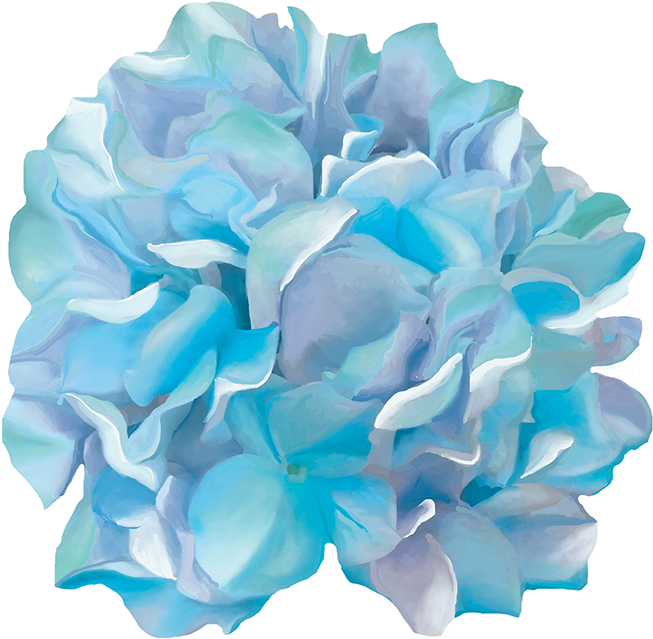 Thank You - Watercolor Hydrangeas Png (1200x1200), Png Download