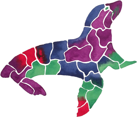 Sea Lion (564x480), Png Download